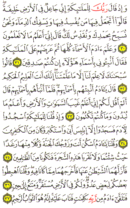 Al-Qur'an page : 006