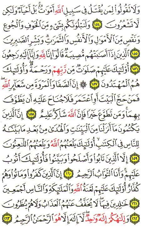 Al-Qur'an page : 024