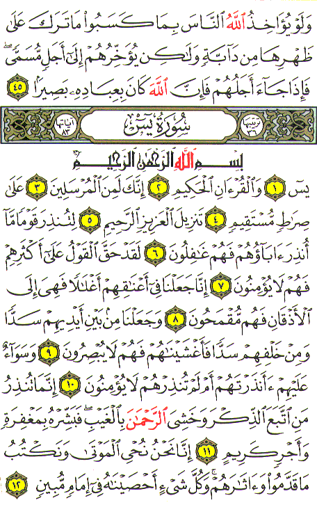 Al-Qur'an page : 440
