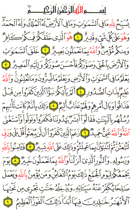 Al-Qur'an page : 556